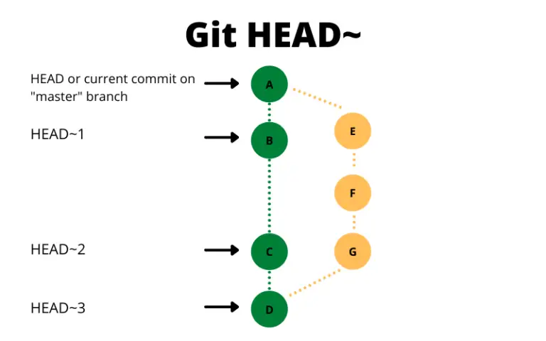 what-is-git-head-a-practical-guide-explained-with-examples-become-a