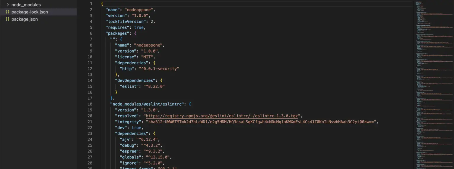 Difference Between Package.json And Package-lock.json - Become A Better ...