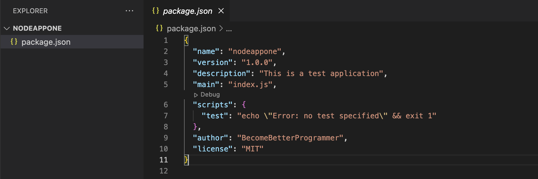 Difference Between package.json and packagelock.json A Better